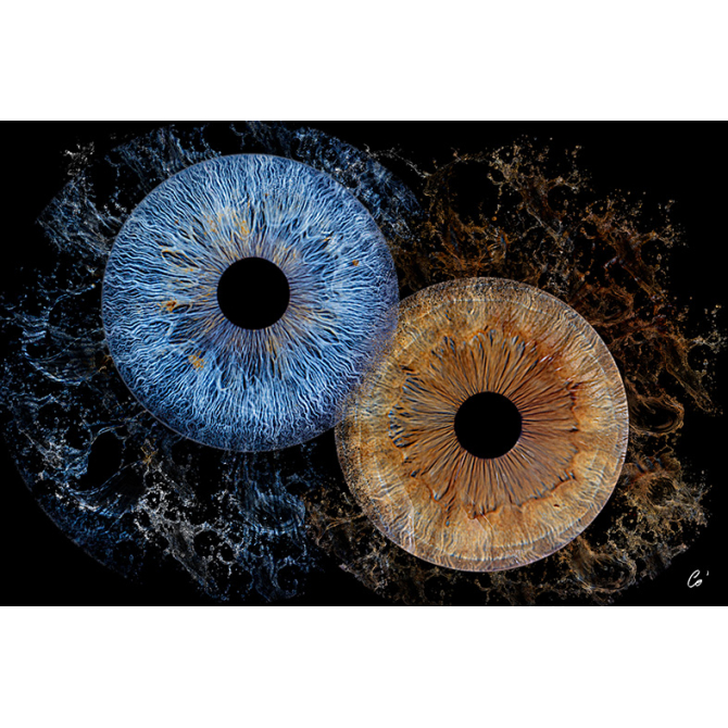 Bon Cadeau photo d'Iris - séance photo en en studio